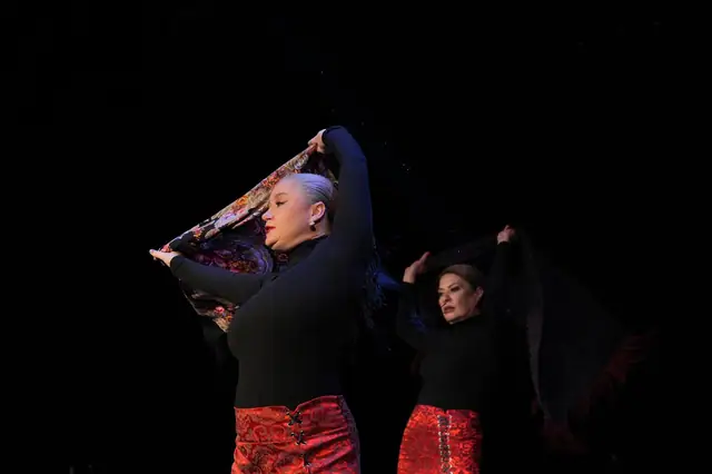 Adım Sanat 2024 Yıl Sonu Gösterisi – Manton Flamenco – fotoğraf 28