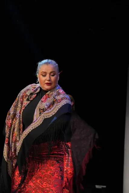 Adım Sanat 2024 Yıl Sonu Gösterisi – Manton Flamenco – fotoğraf 60