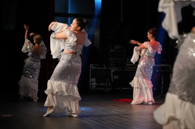 Adım Sanat 2024 Yıl Sonu Gösterisi – Oryantal – fotoğraf 48